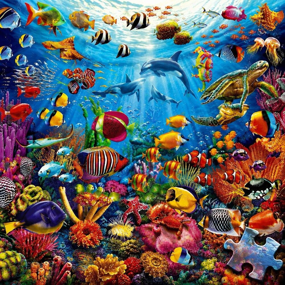 Buffalo Marine Color 1000 Piece Puzzle Reef Rush Hour Ocean Sea Life Fish Art